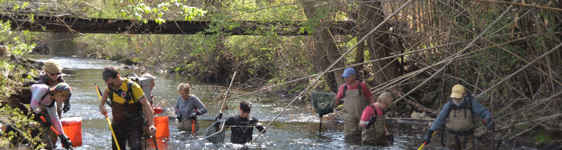 Group of scientists wading in stream