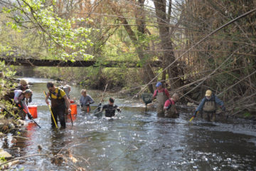 Group of scientists wading in stream