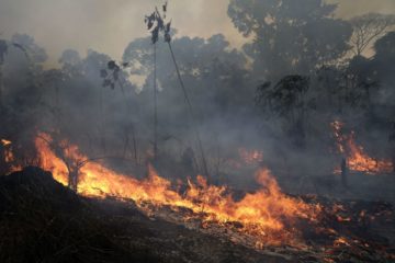 brush fire. AP