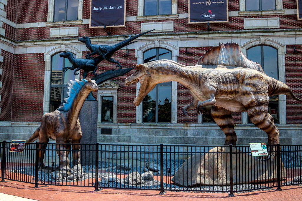 2 huge dinosaurs
