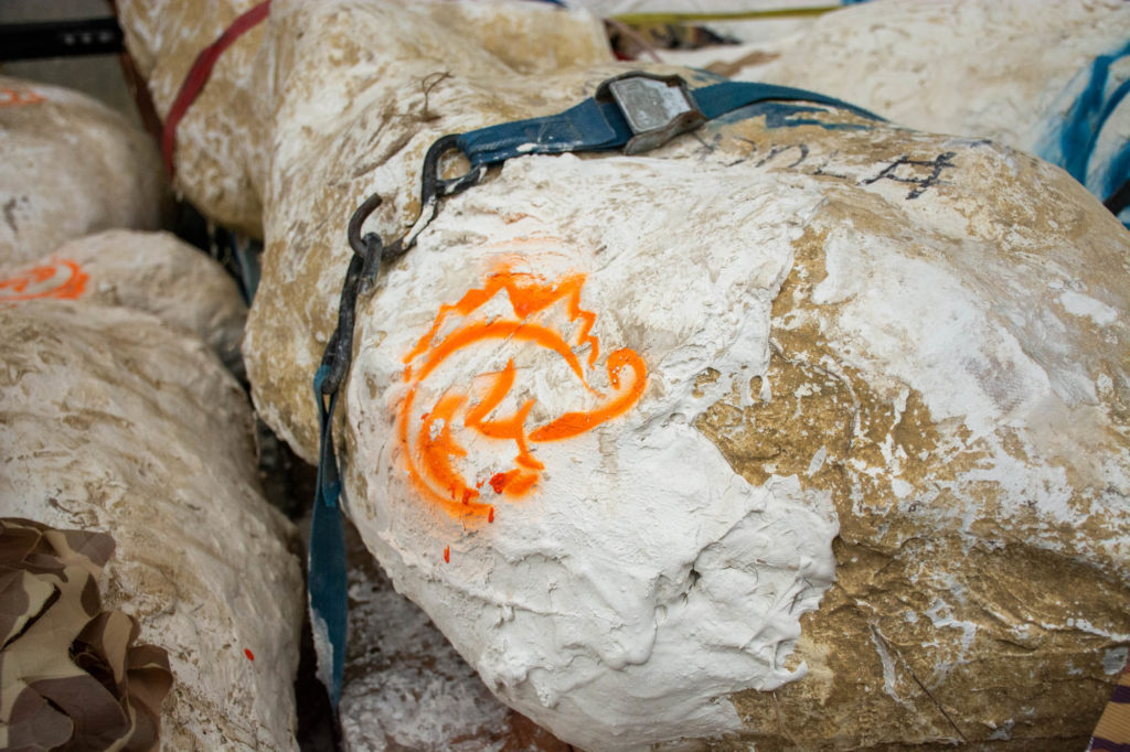 White fossil jacket with orange dinosaur emblem