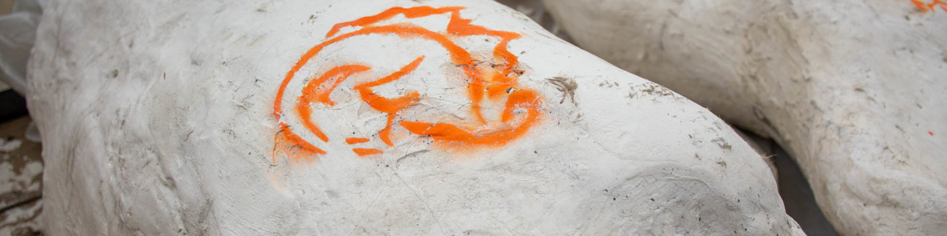 White fossil jacket with orange dinosaur emblem