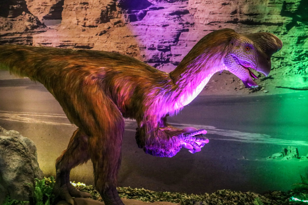 feathered dinosaur