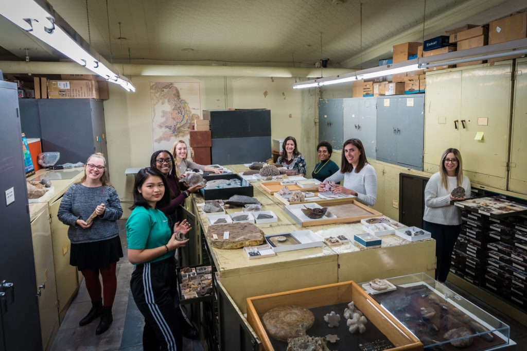 Scientists working in Invertebrate Paleontology Collection