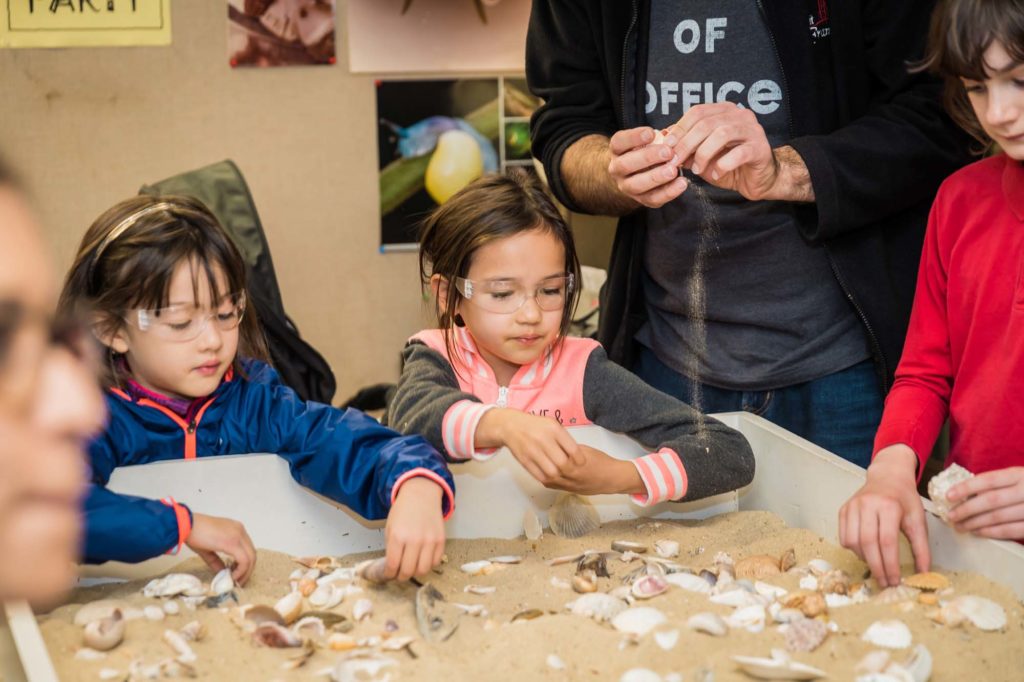 Two young girls dig for shells in a sandy pit
