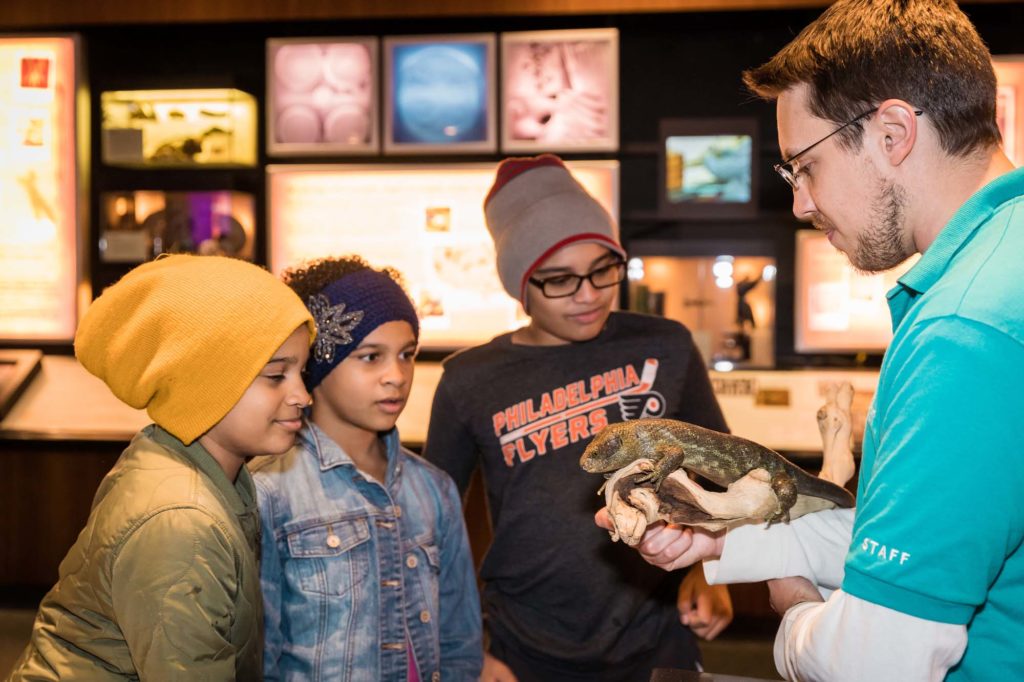 Three young children look at live animal, held by Academy educator