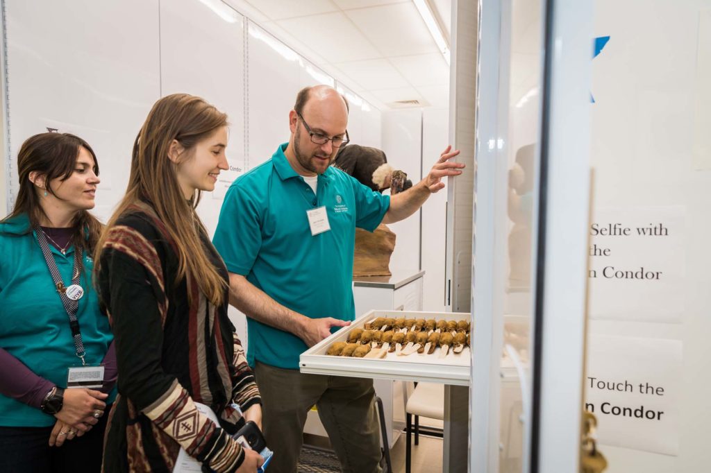 Young adults take a tour of the Ornithology Collection