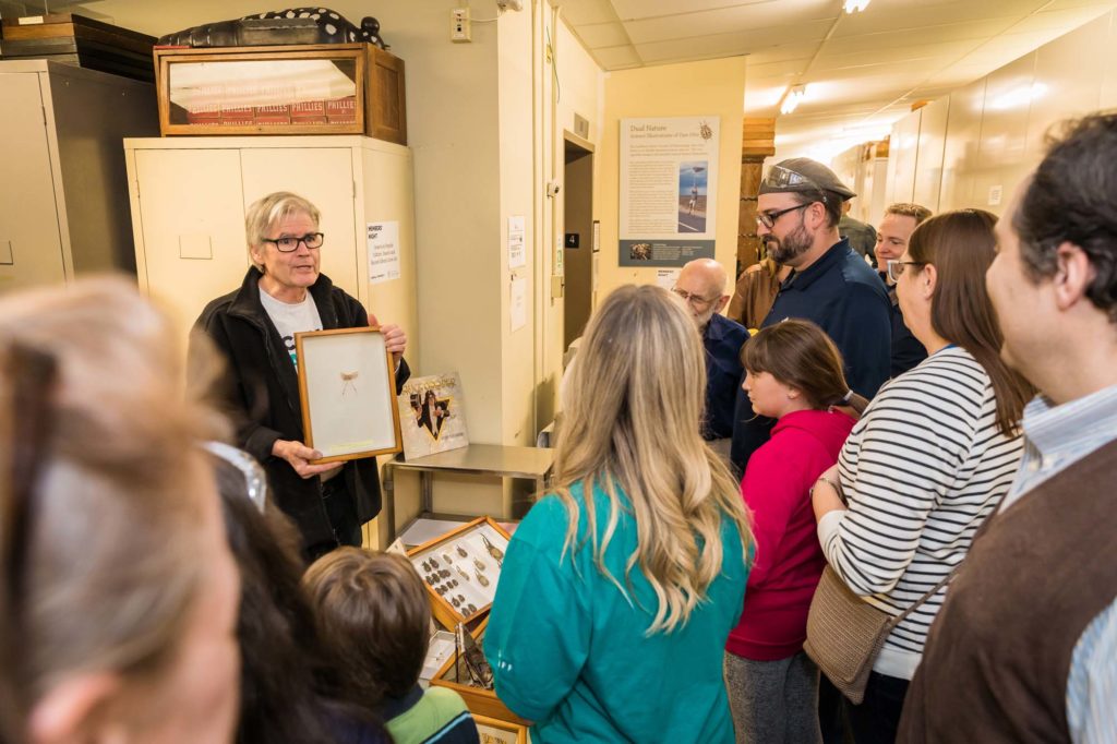 Scientist shows insect specimen to group of adults