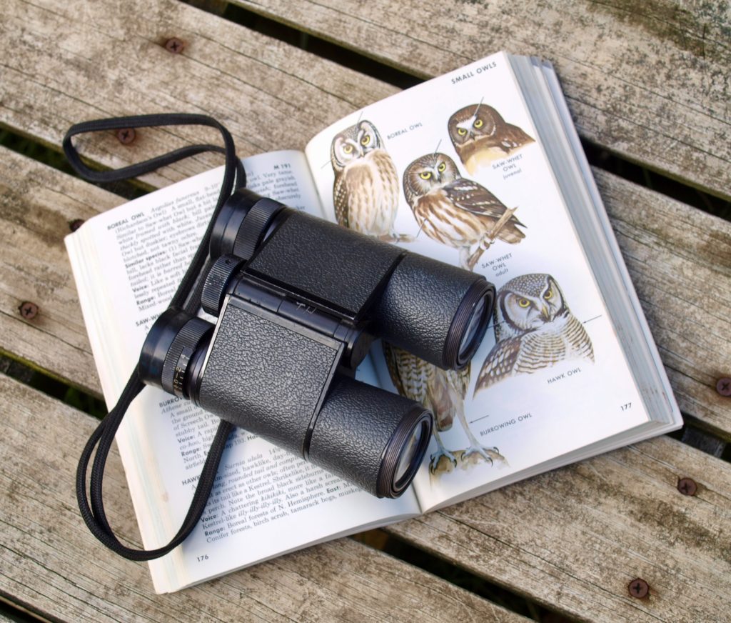 Binoculars with bird book