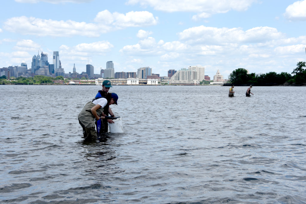 researchers in waders in water