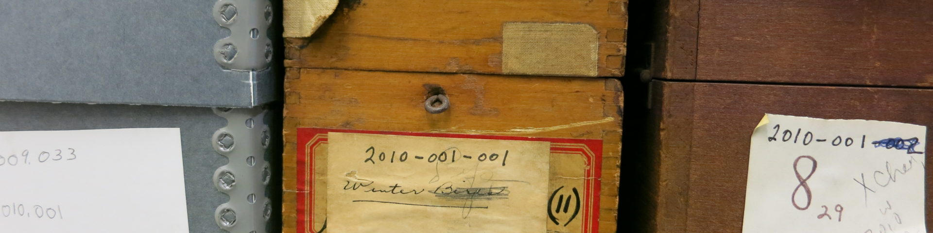 document boxes in archives