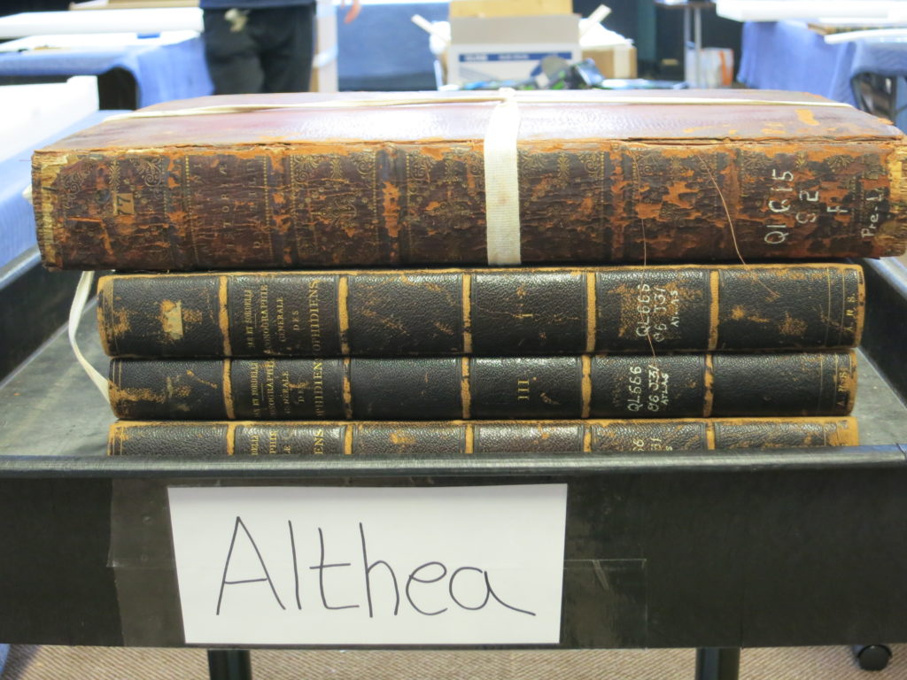 Stack of rare books