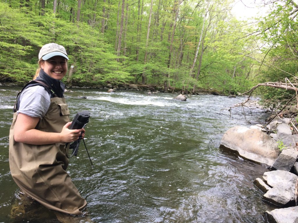 marie kurz in stream