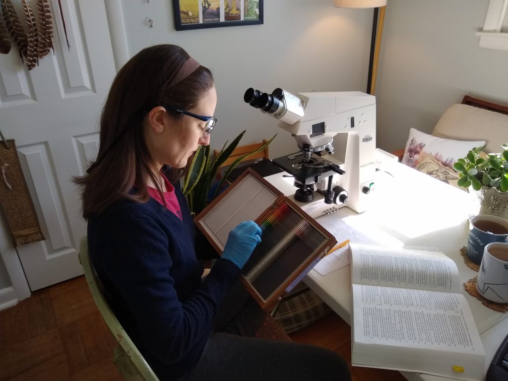 danielle at desk