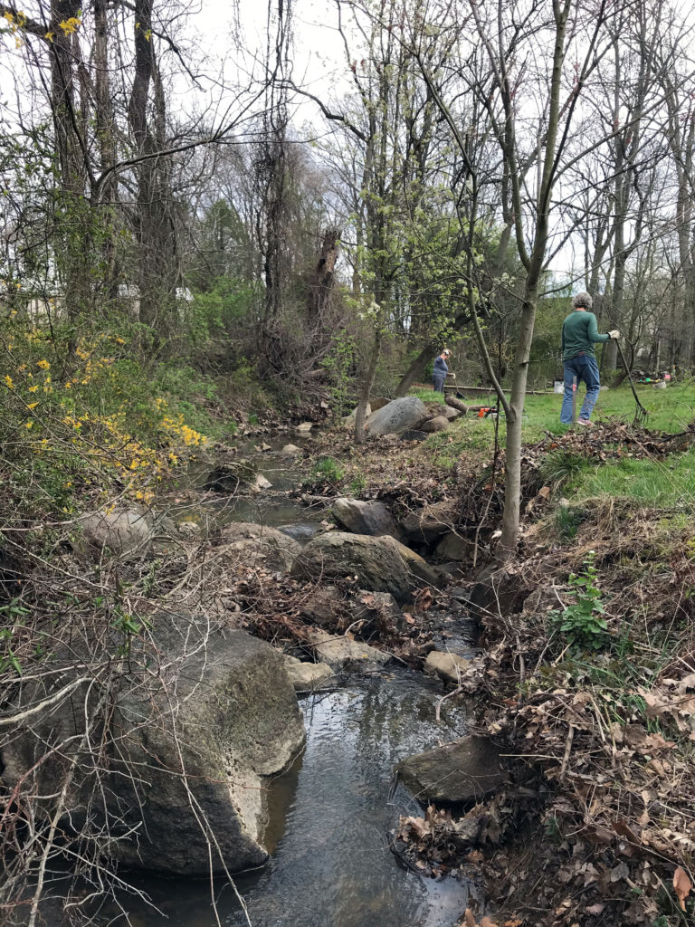 stream