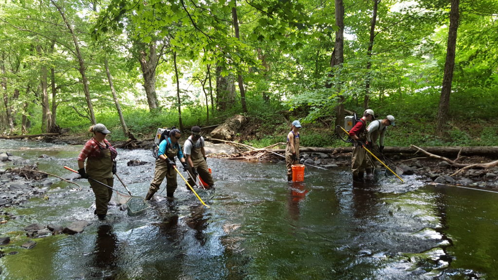 scientists walking in water