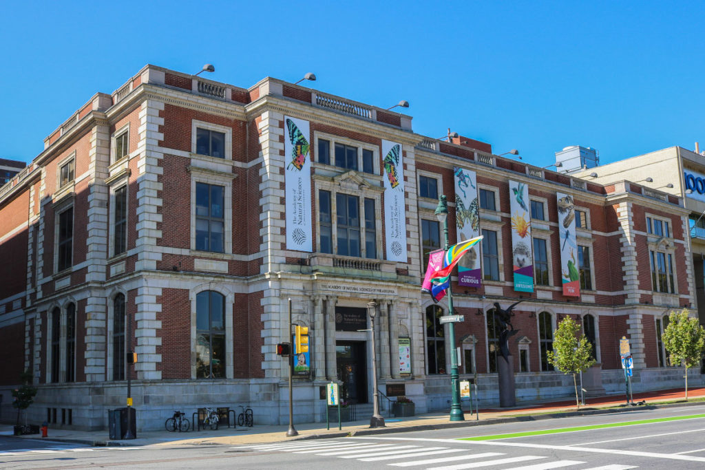 Image of the Academy Building on a summer day, three stories tall, red brick with white stone columns and window surrounds. Banners displaying butterflies and dinosaurs decorate the front of the building