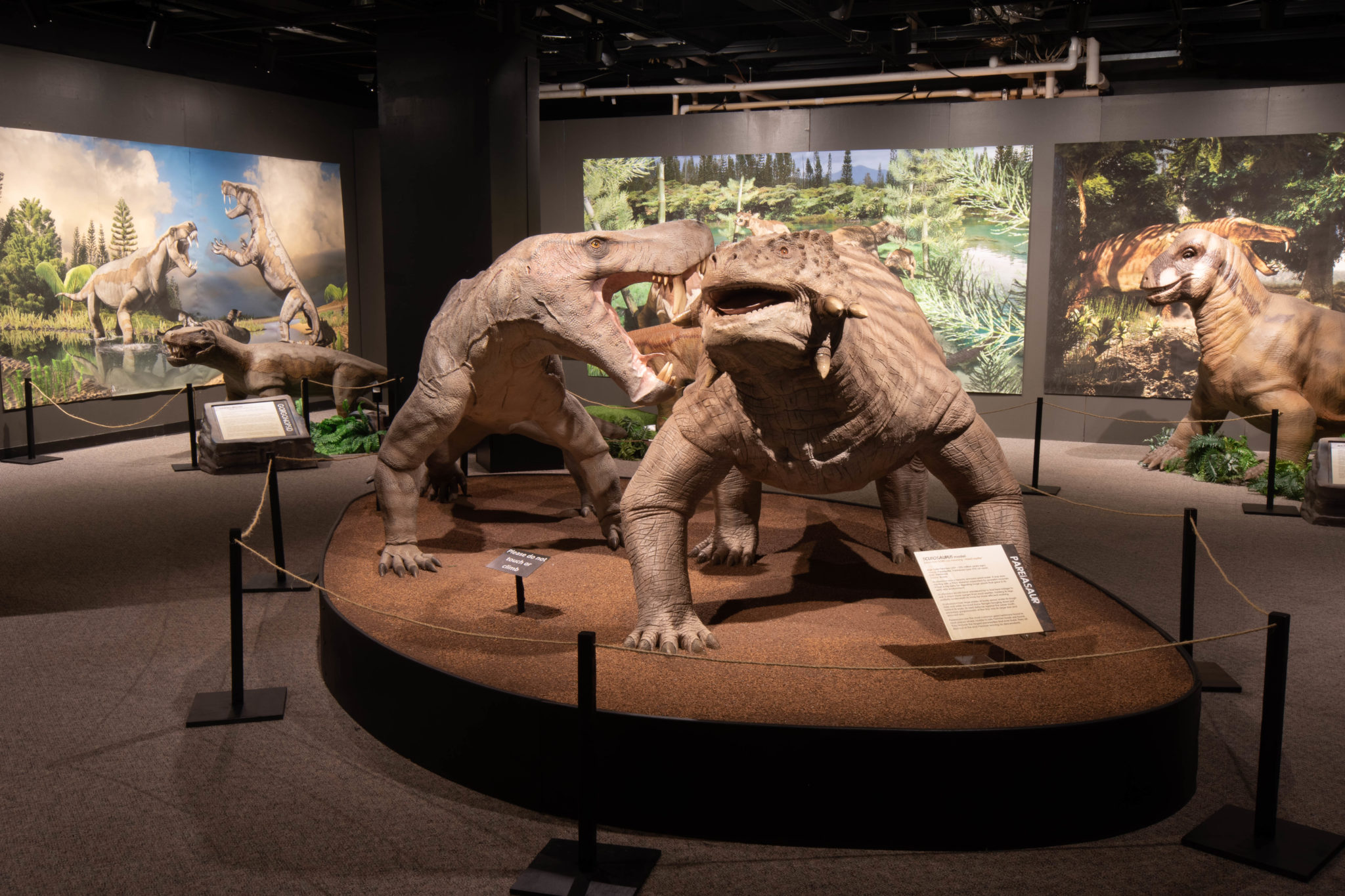 life on earth before dinosaurs