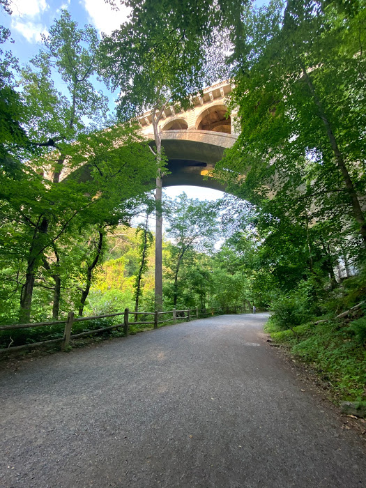 bridge over gravel path in woods