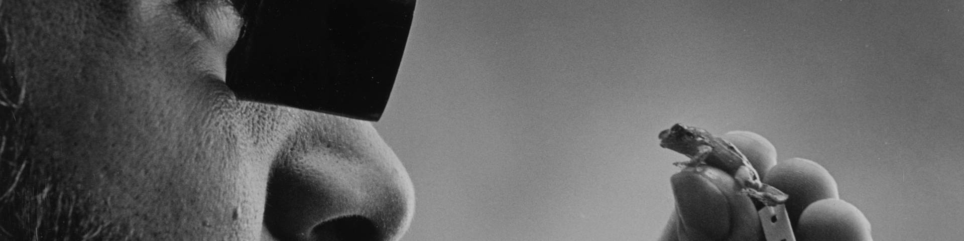 man investigating small frog