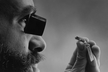 man investigating small frog