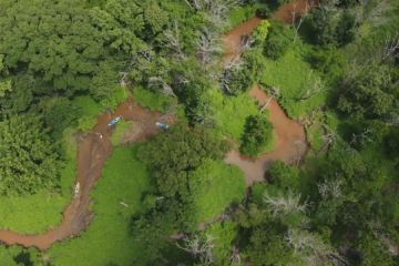 birds-eye view of boat on river