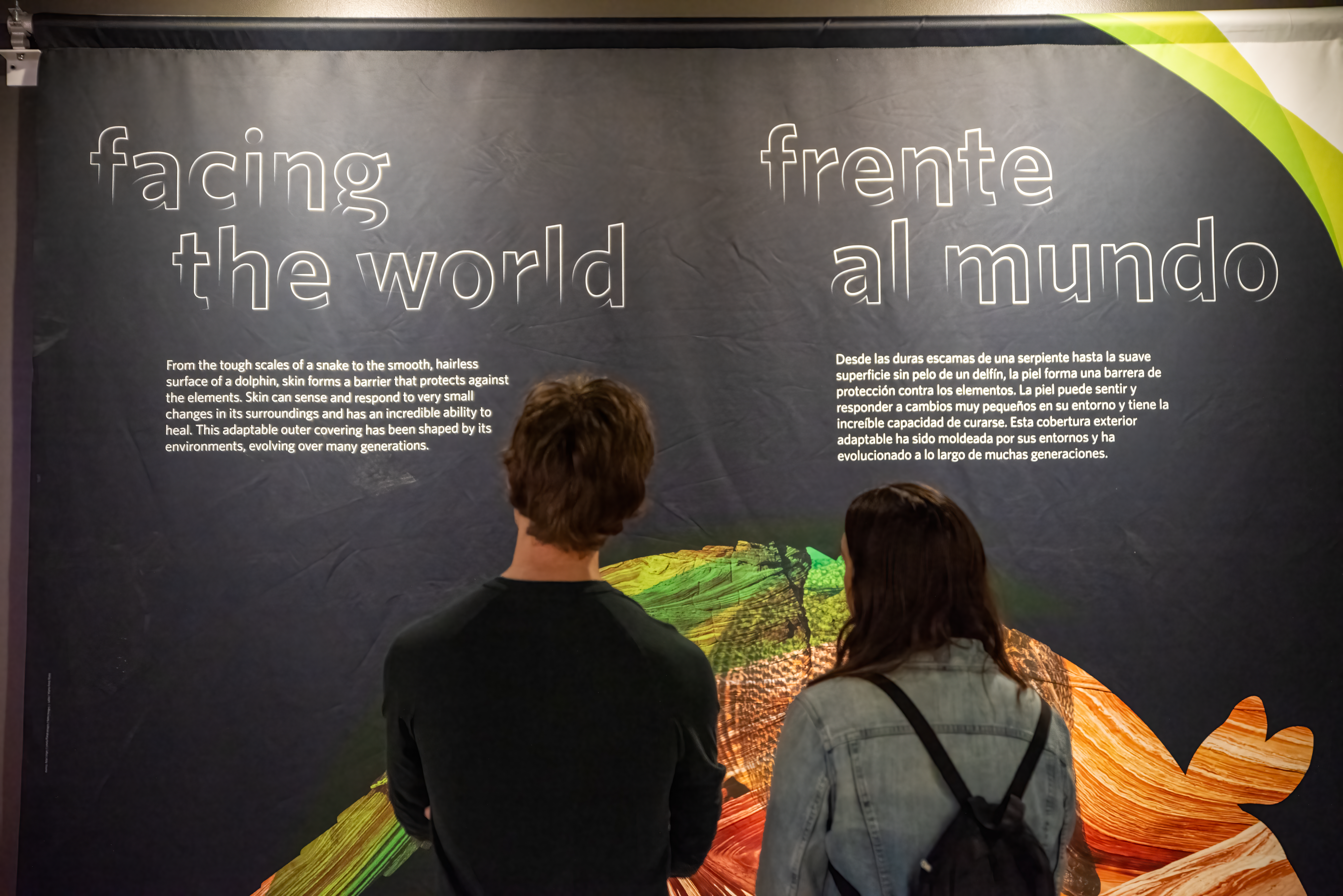 two people reading a museum sign