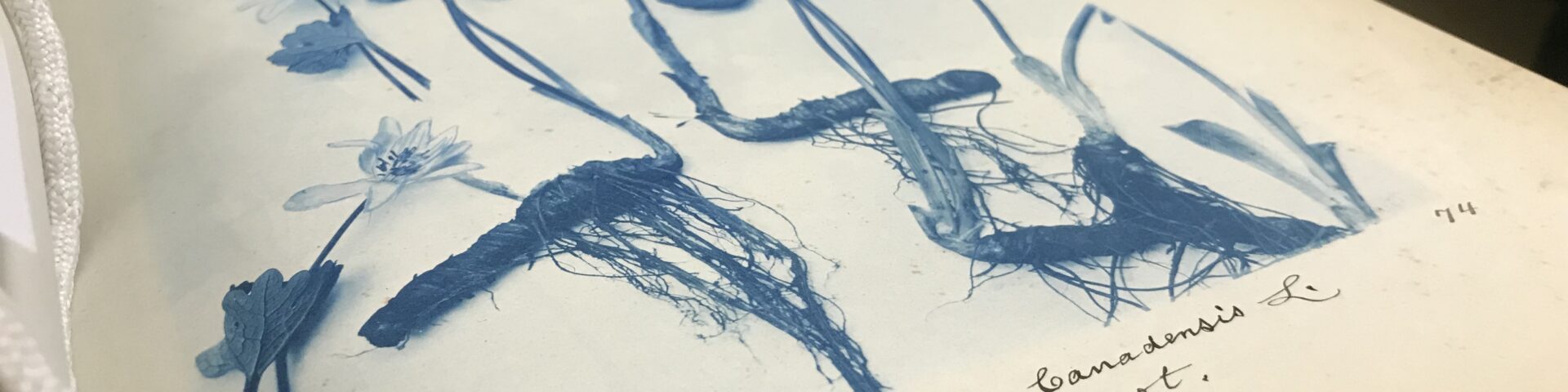 open book in front of archives