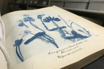 open book in front of archives