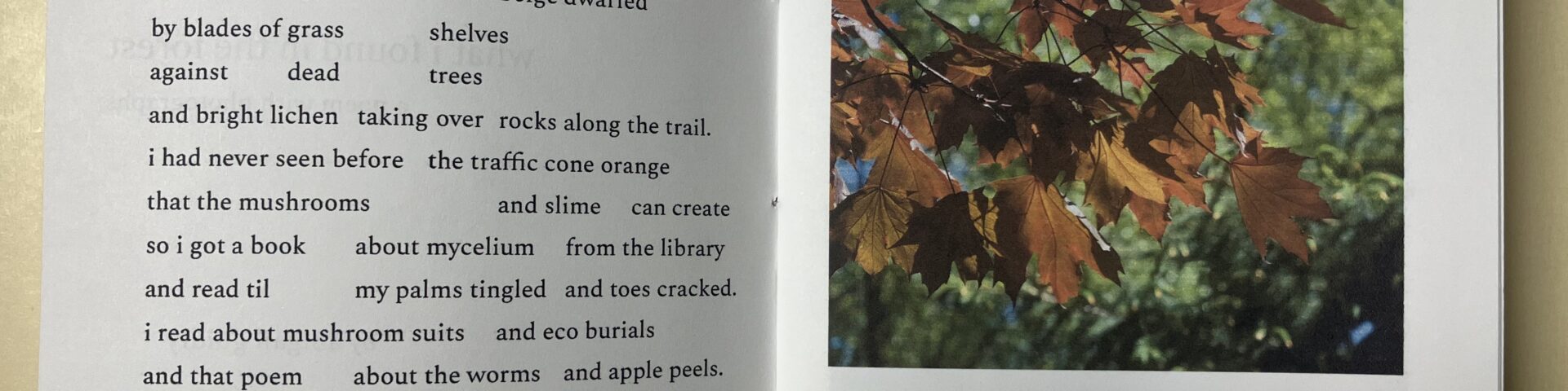 open zine with image and text